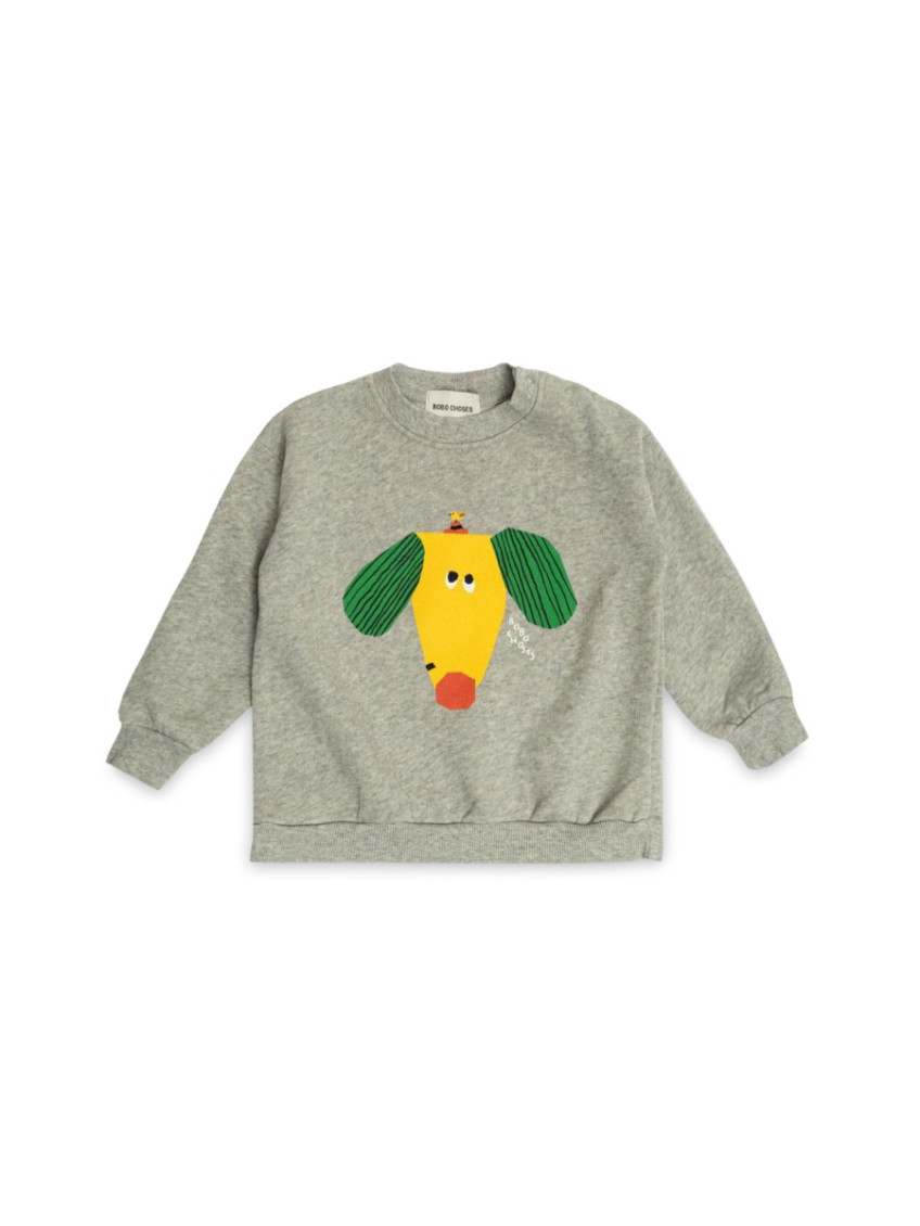 Babies Grey Graphic Sweatshirt