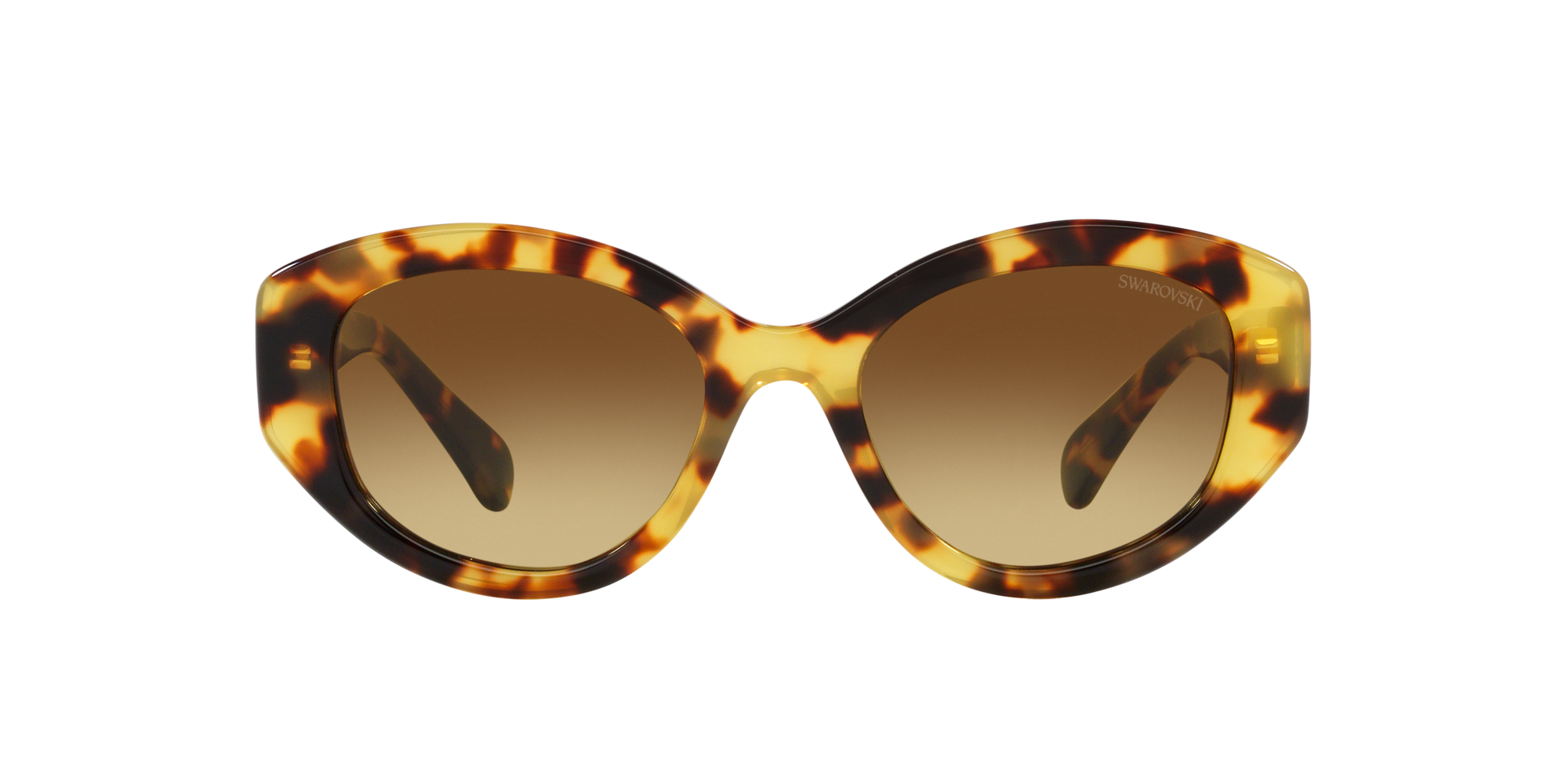 Swarovski Woman Swarovski SK6005 100913 Sunglasses Acetate Turtle Brown Geometric Normal Shaded