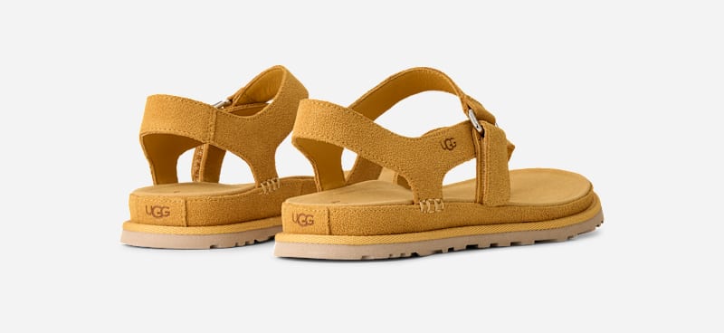 ® Women's GoldenGaze Toe Post Suede Sandals in Wheat Field