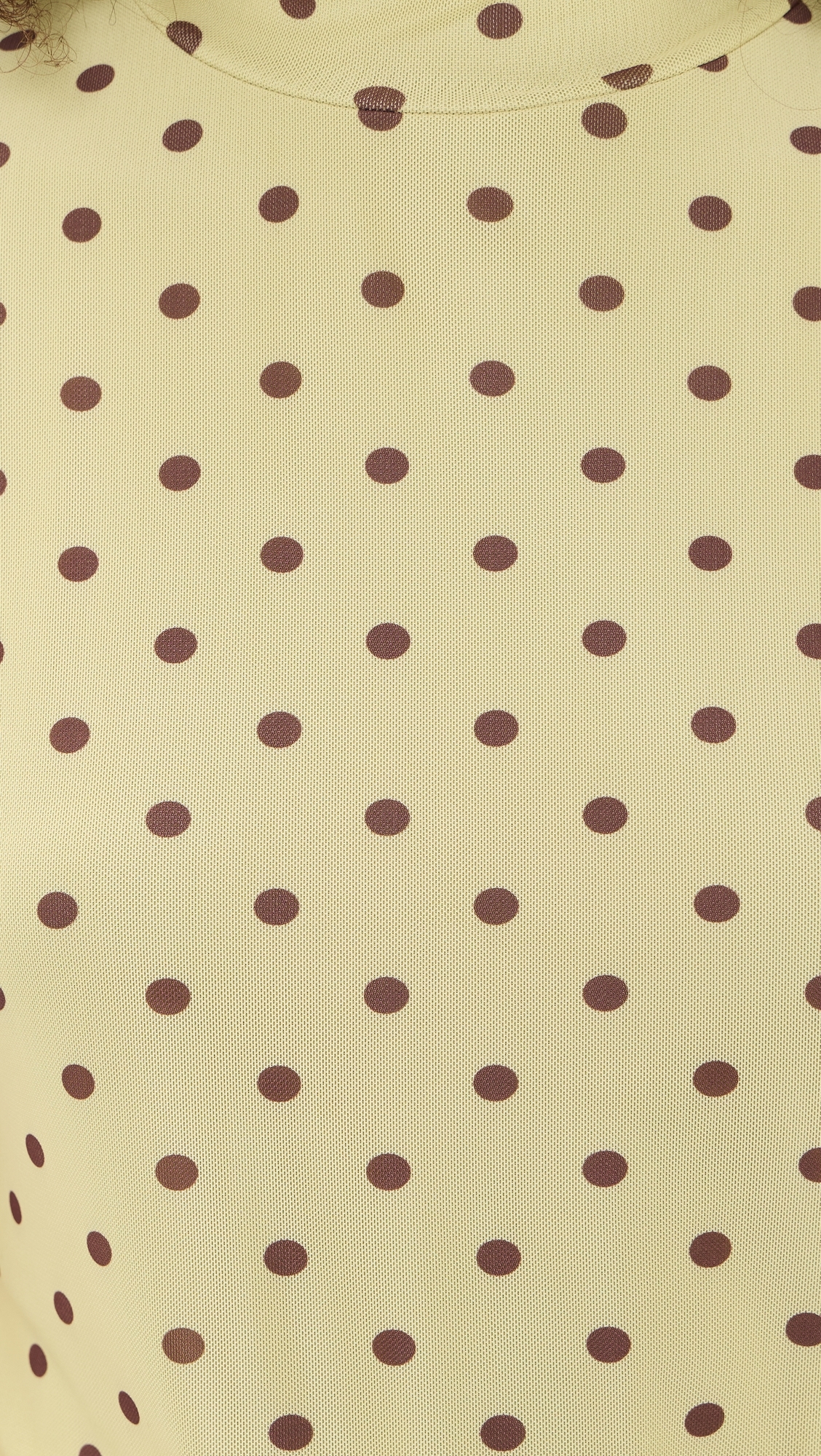 Polka Dot Mesh High Neck Top Pistachio/Brown