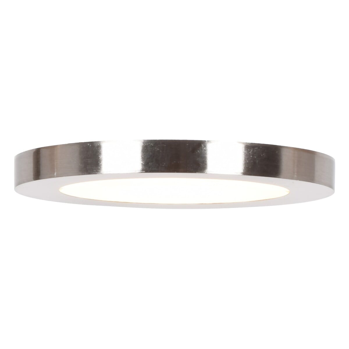 Access Disc Ceiling Light in Brushed Stee