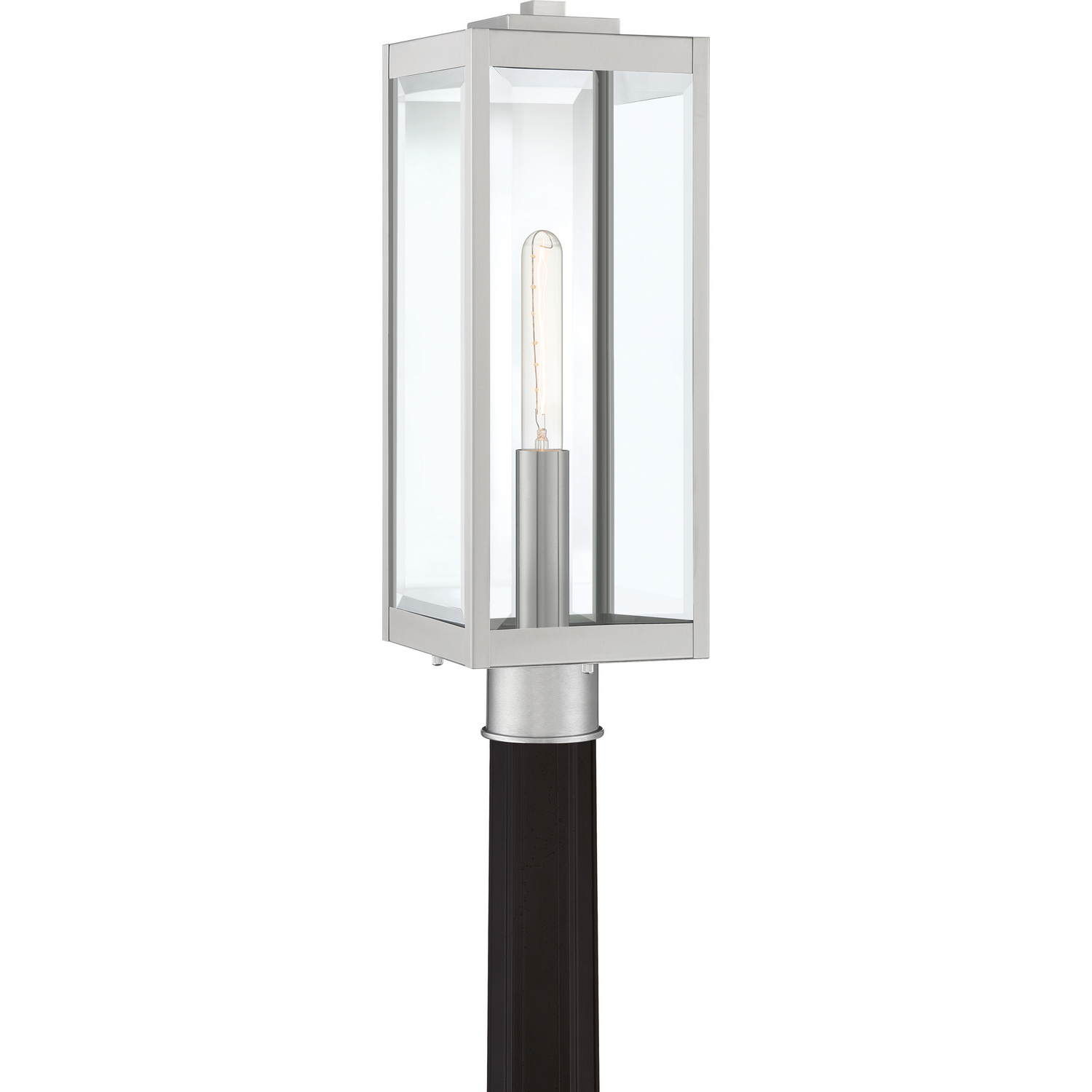 Westover 1-Light Outdoor Lantern in Stainless Stee