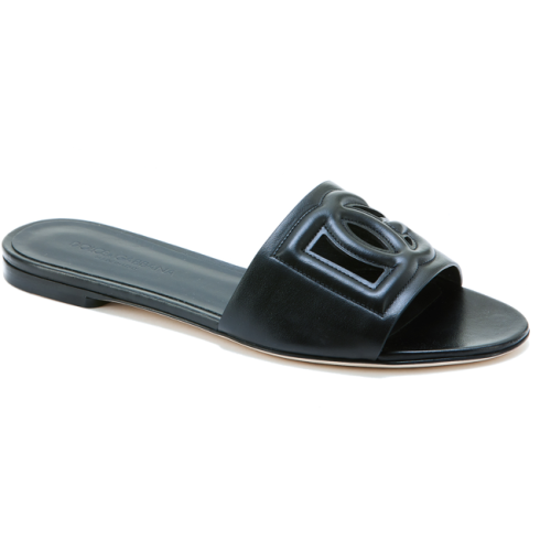 DG Millennials logo slides