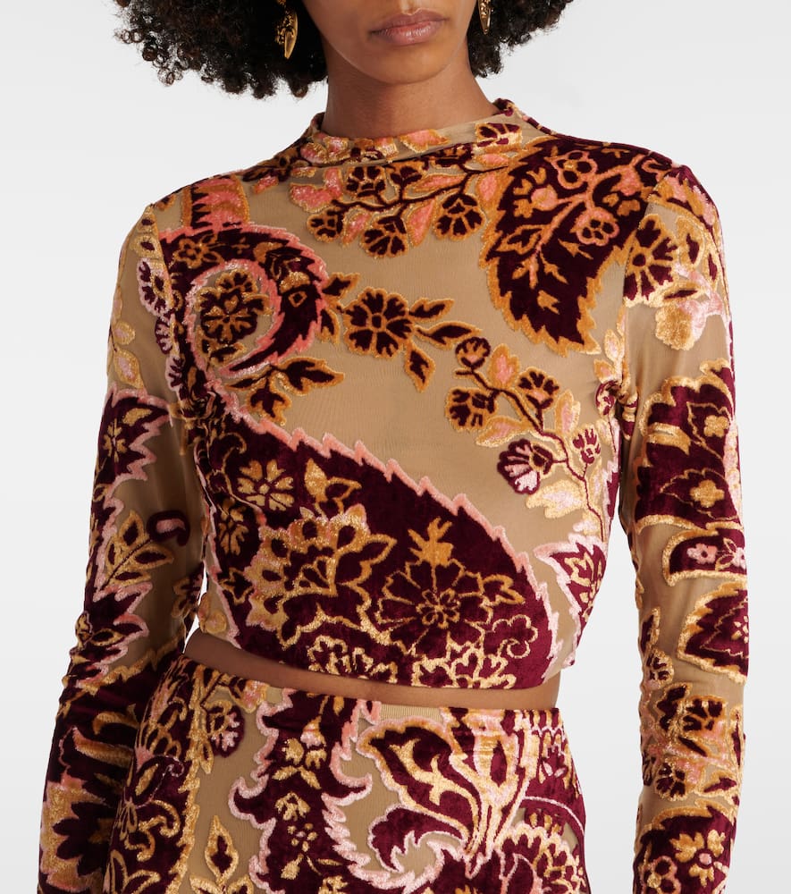 Paisley tulle and velvet jacquard crop top