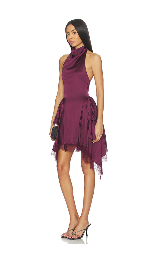 MAJORELLE Dolores Mini Dress in Wine. XS also in L, M, S