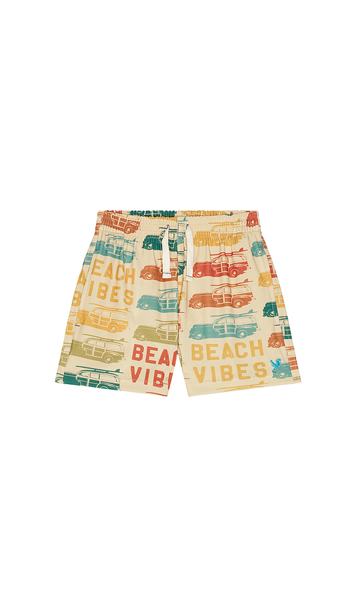 Pink Chicken Boys Swim Trunk in Beach Vibes. 3 also , 4