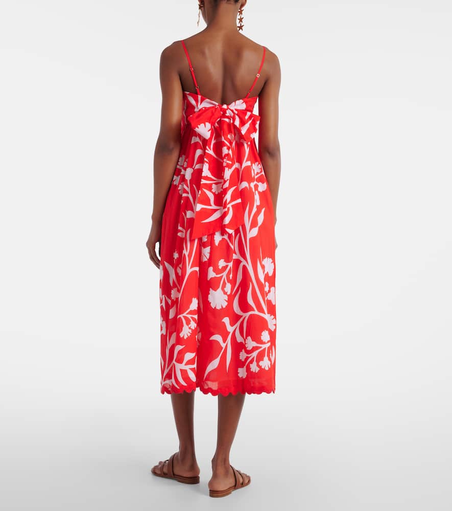 Printed scalloped cotton midi dress