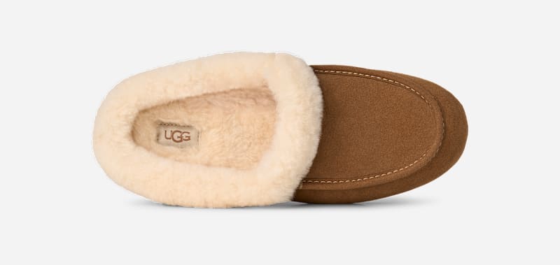 ® Women's Ansley Mule Sheepskin in Chestnut