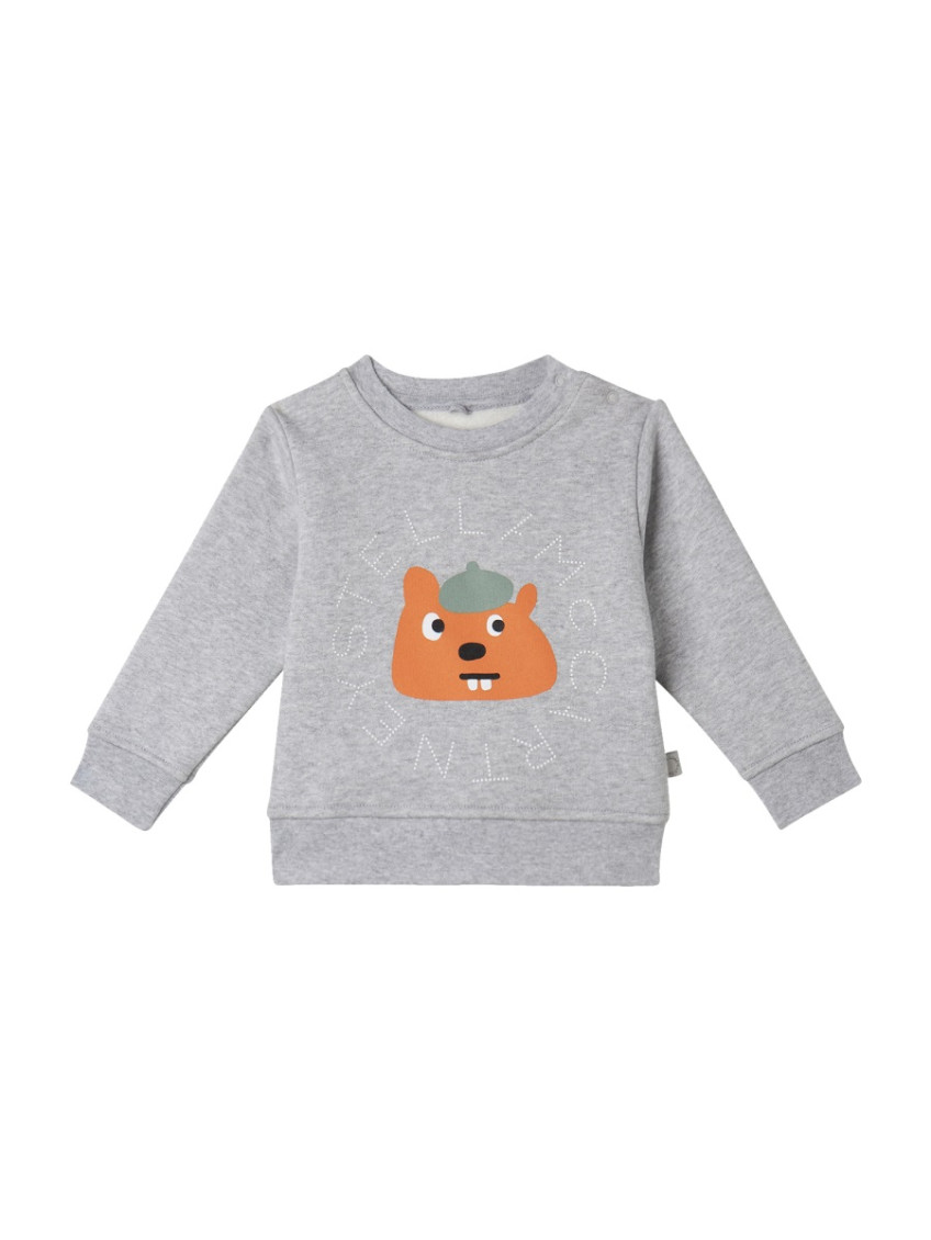 Babies Grey Graphic Sweatshirt