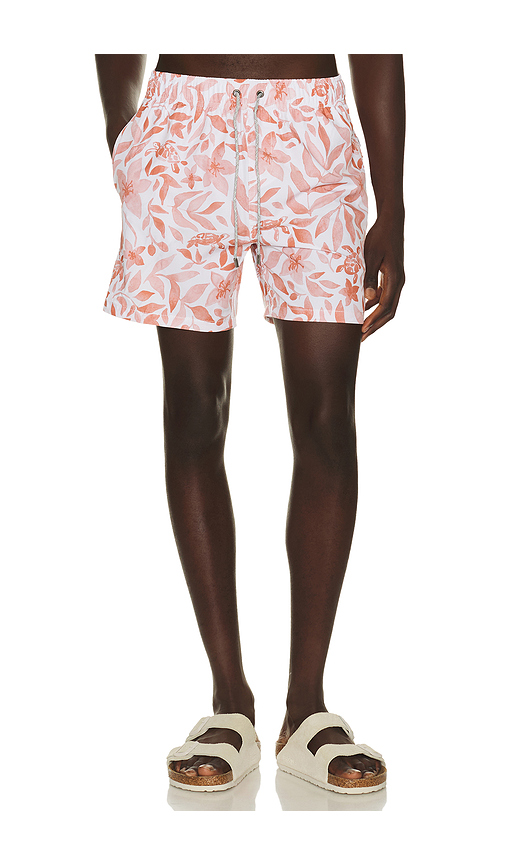 Vintage Summer 4 Way Stretch Volleys in Orange. M. Also in S, L, XL/1X, XXL/2X
