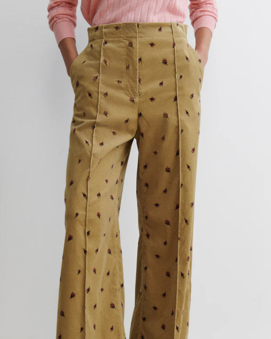 Barros Pant