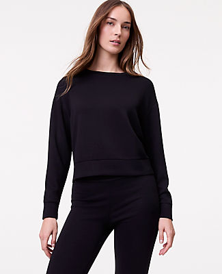 Ann Taylor Petite Weekend  Crew Neck Sweatshirt in CloudPlush
