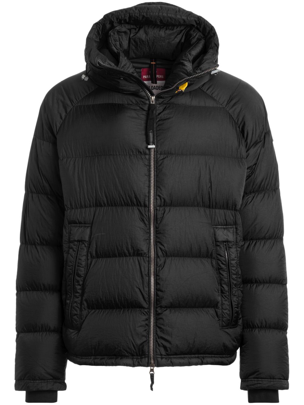 Norton jacket - Blue