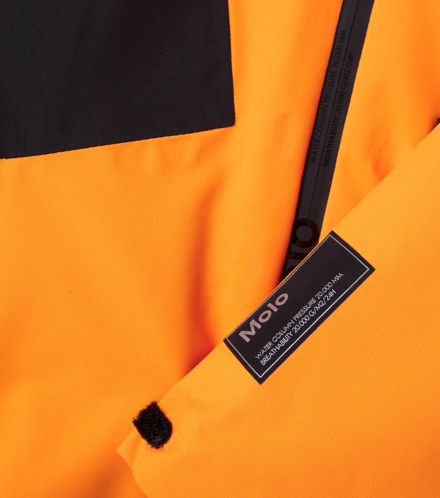 Alpine hooded ski jacket