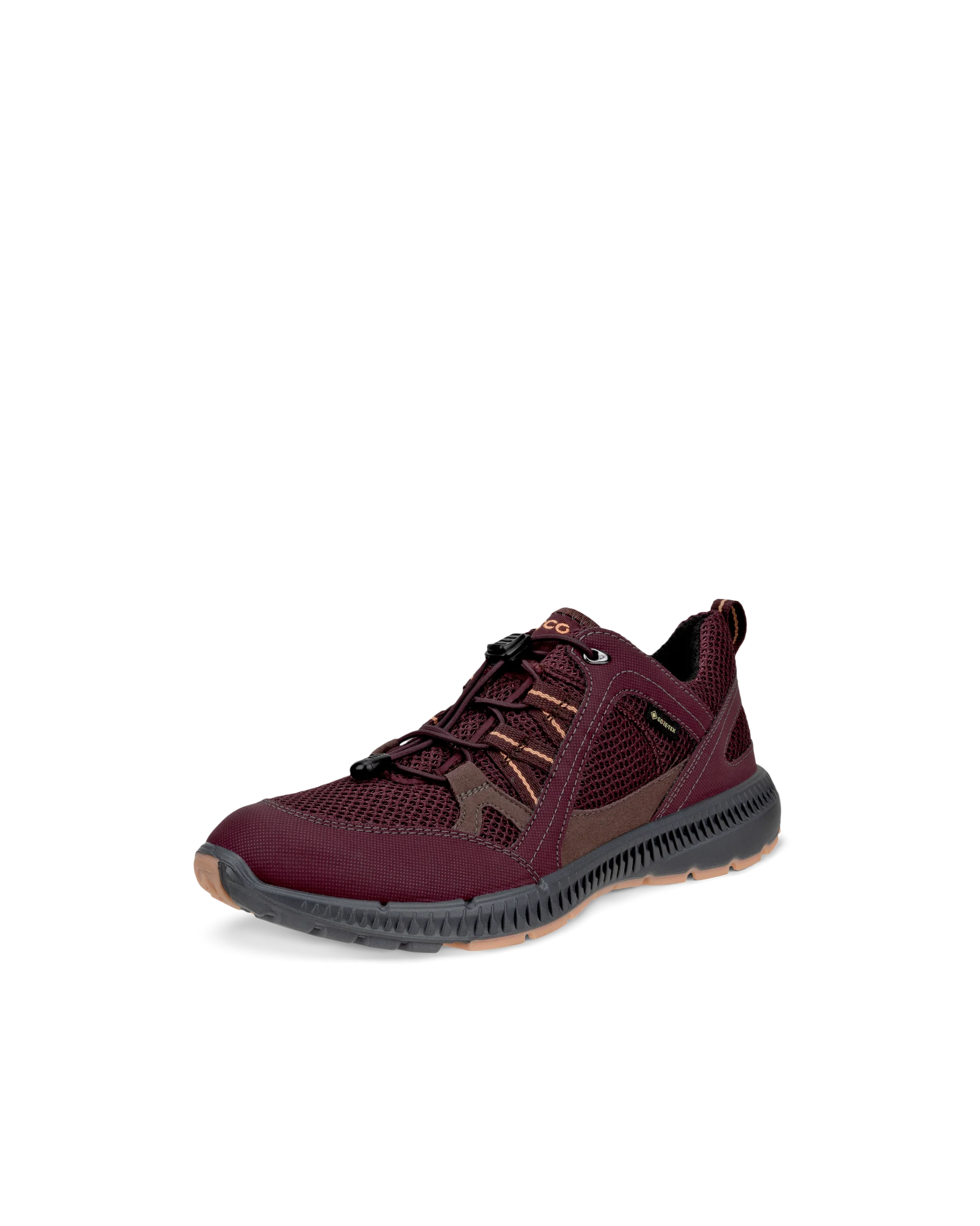 Terracruise II W - Chaussures en toile Gore-Tex pour femme - Bordeaux
