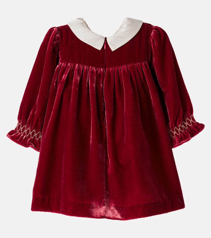 Baby Samantha embroidered dress