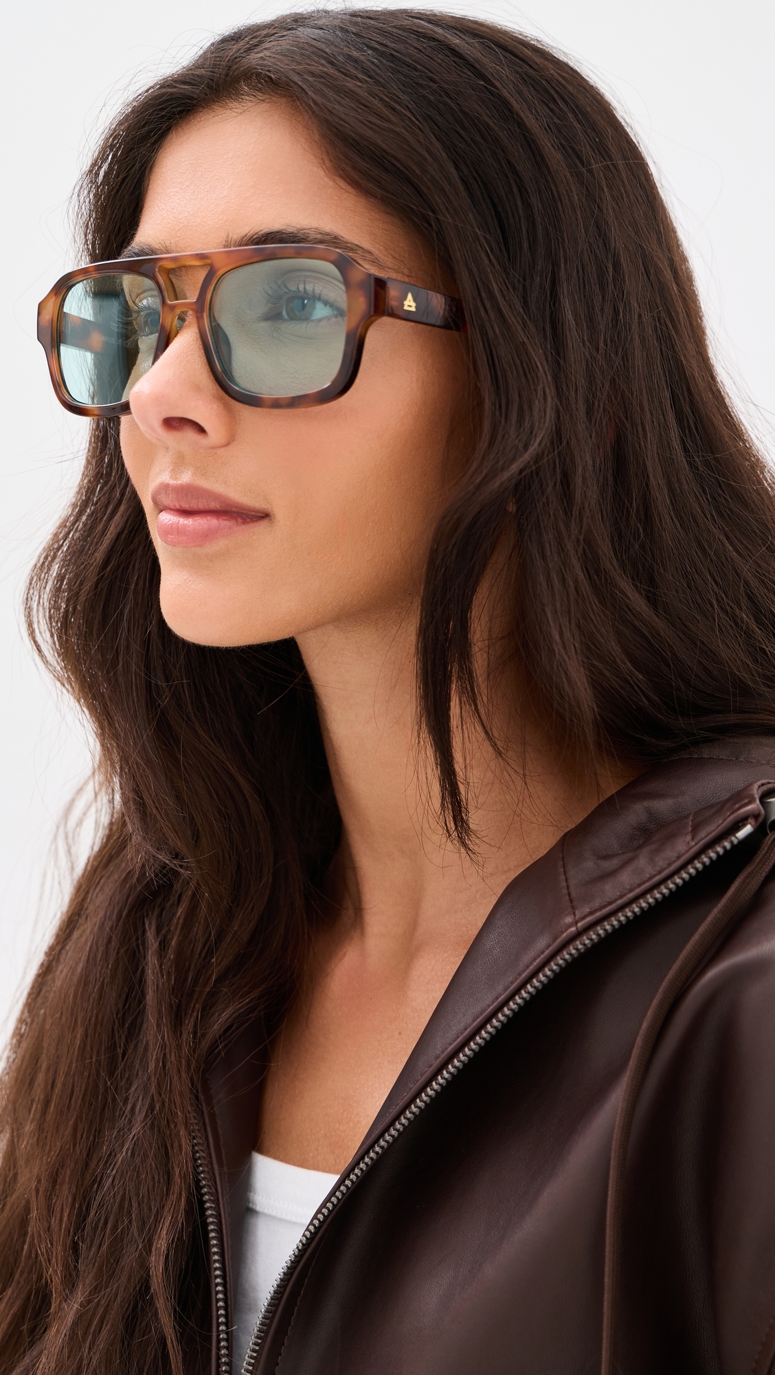 Aquarius Sunglasses Havana One Size