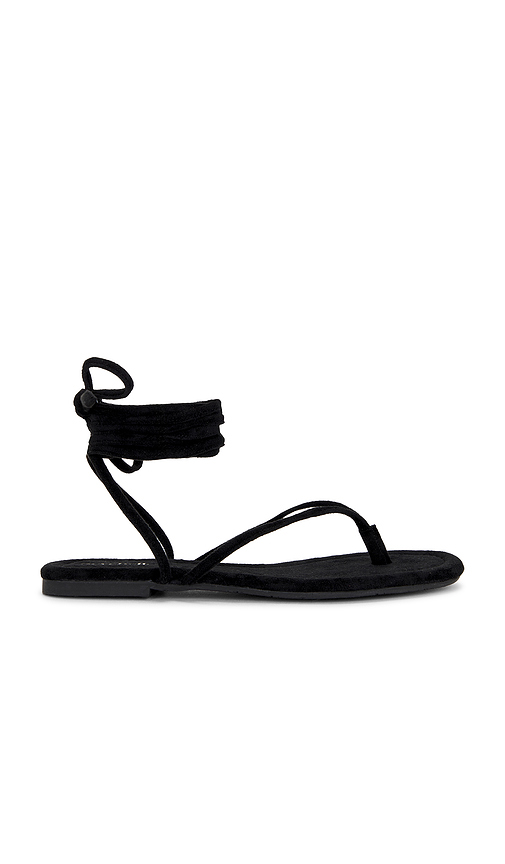 Seychelles Wander The World Sandal in Black. 10. Also .5