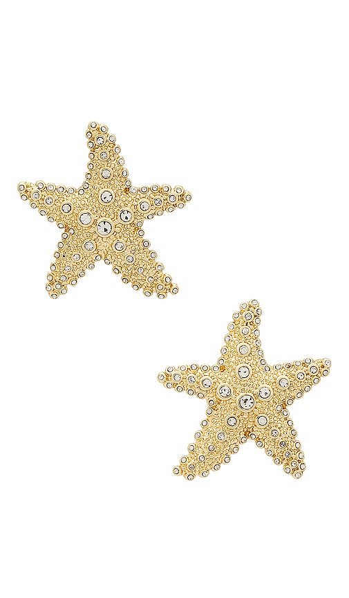 BaubleBar HÄNGEOHRRINGE TEXTURED SEASHELL in Metallic Gold