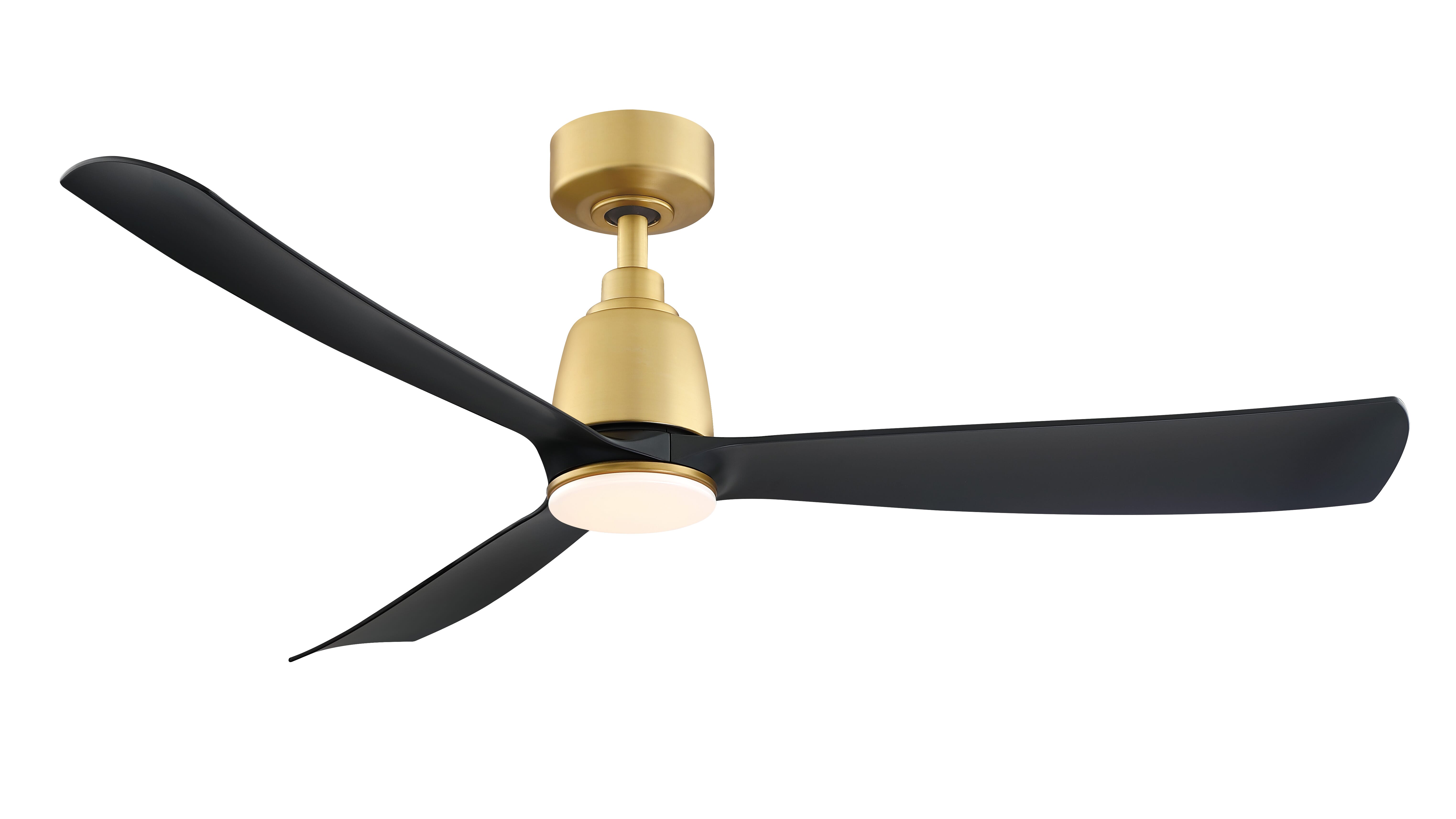 Fanimation Kute 52" Indoor Ceiling Fan in Brushed satin Bra