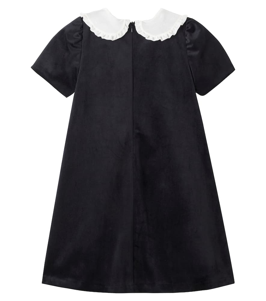 Embroidered lace-trimmed dress