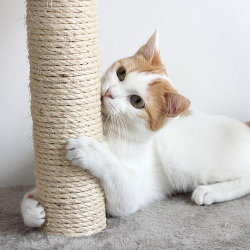 Cat Scratching Post