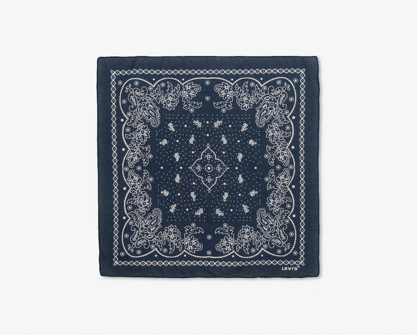 Paisley Bandana