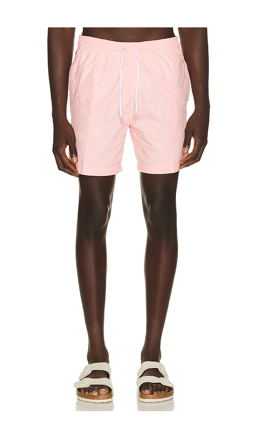 Trunks Surf & Swim Co. Sano 6.5 Swim Short in Pink. L. Also in M, S, XL/1X