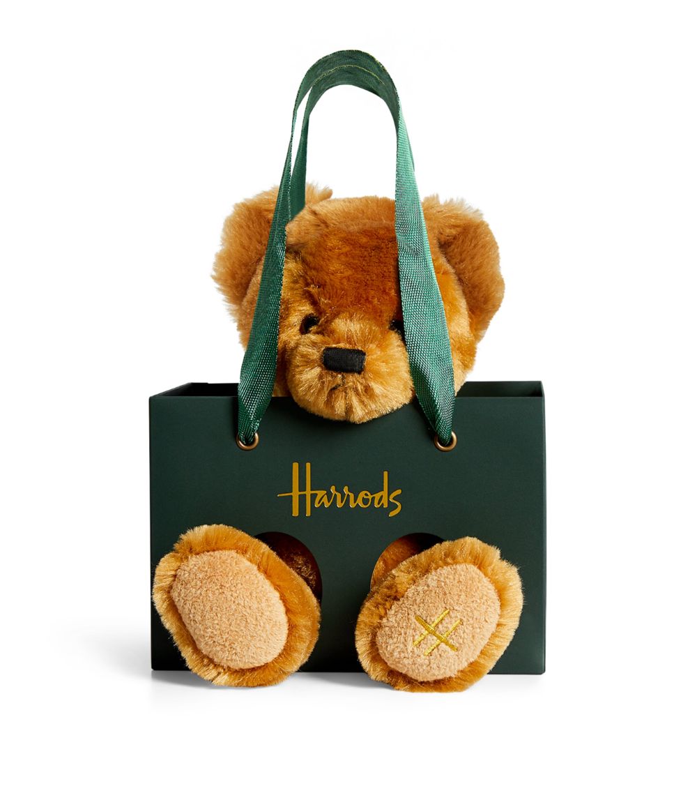 Teddy Bear In Bag Set (15Cm)