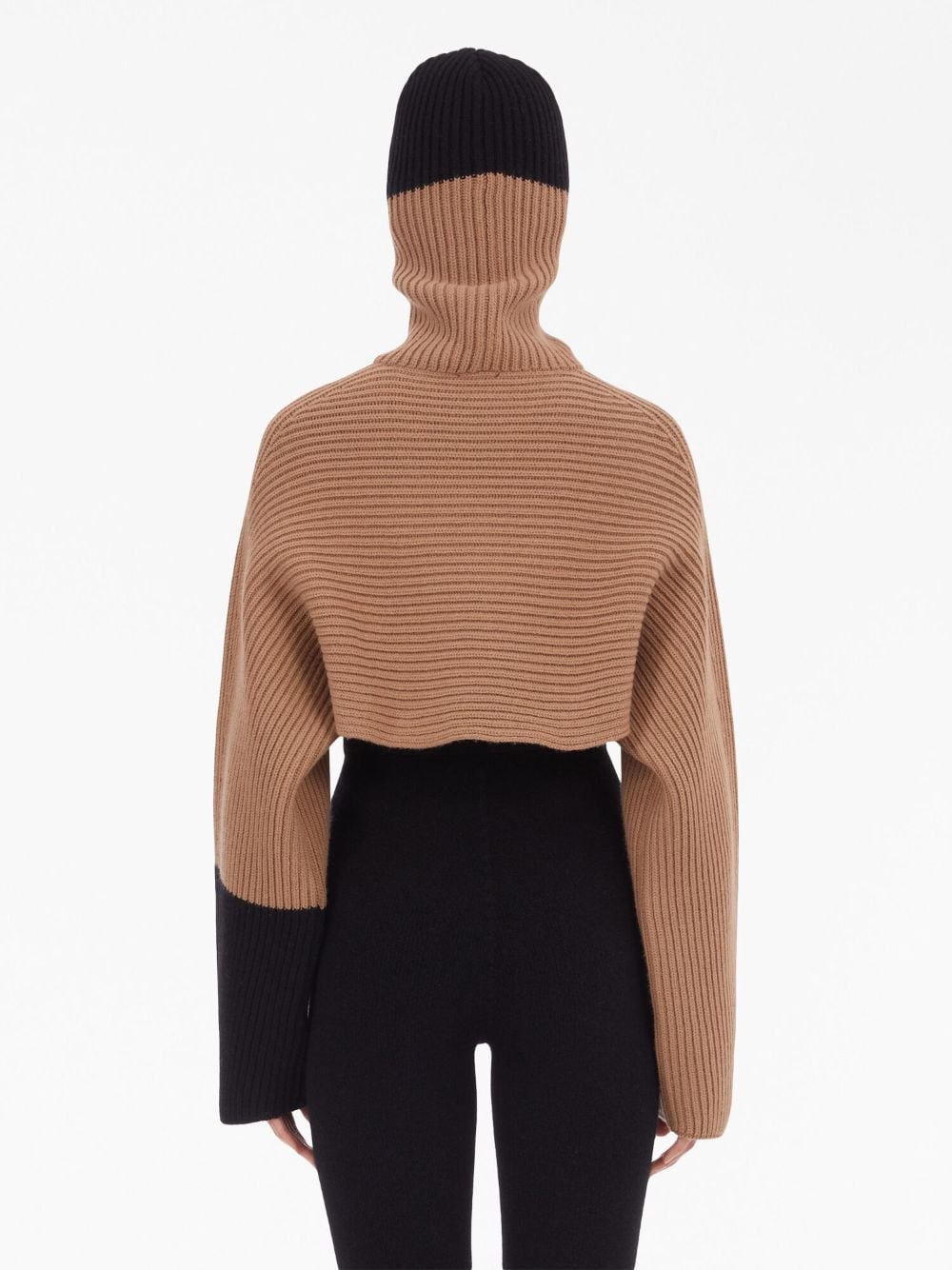 - Cashmere Cropped Hoodie