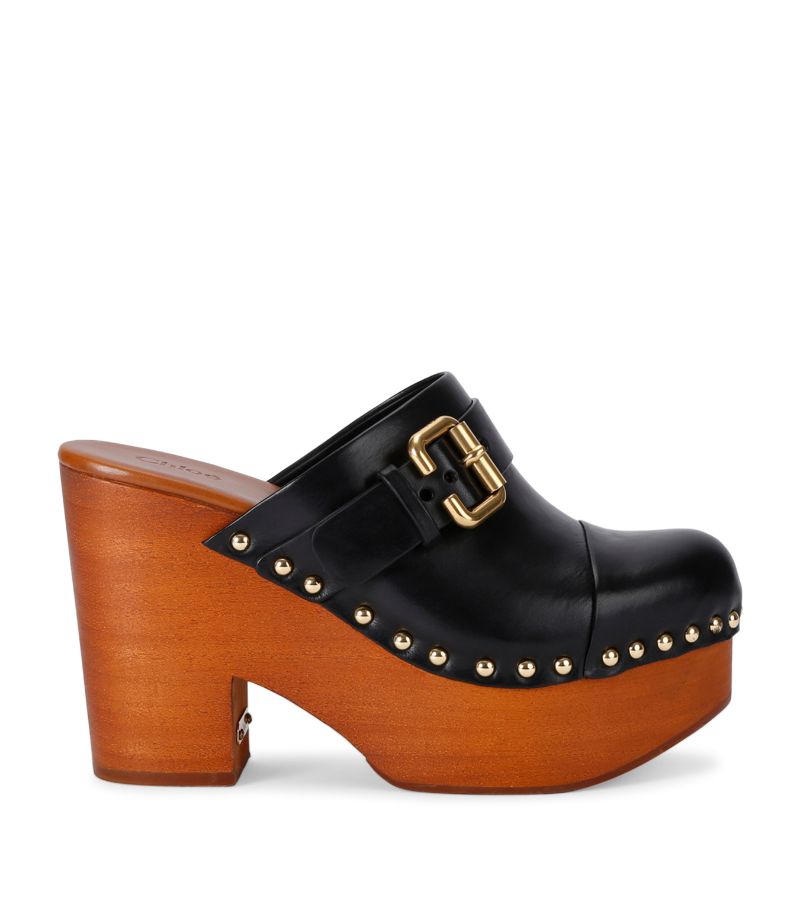 Leather Jeannette Heeled Mules 110