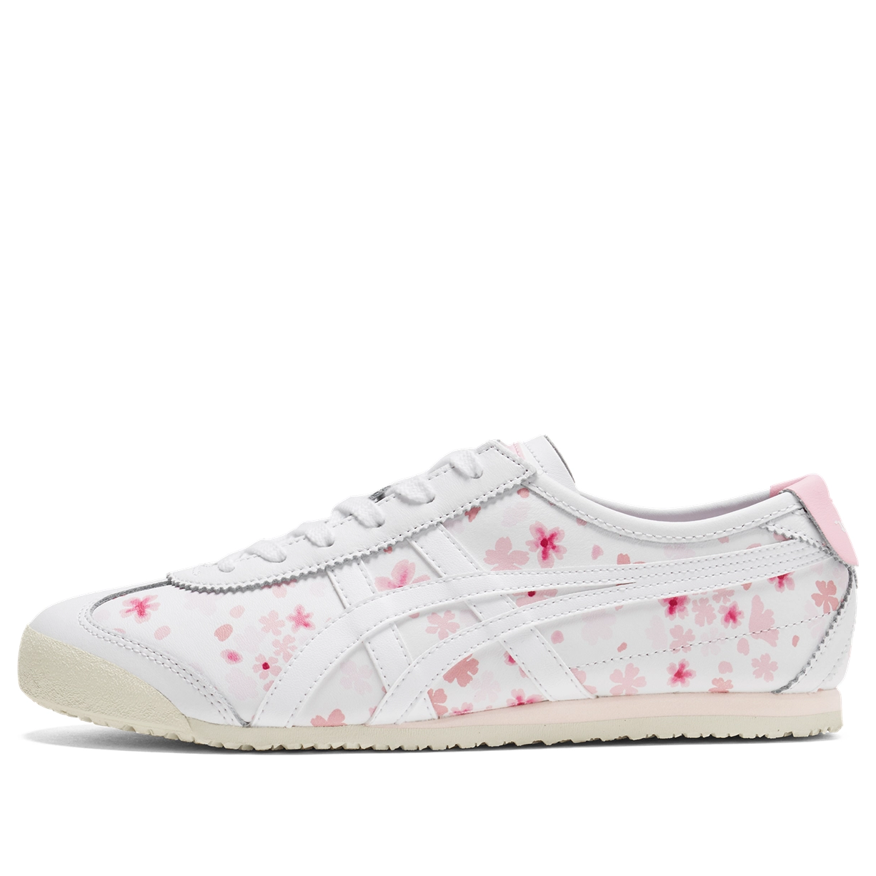 Mexico 66 'White Cherry Blossom'