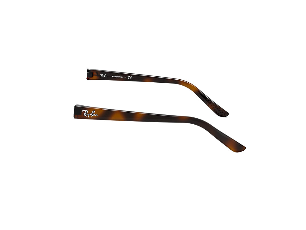 Ray - Ban Ray - Ban Replacement arms Ray - Ban RB2027 Predator 2 Replacement arms Plastic