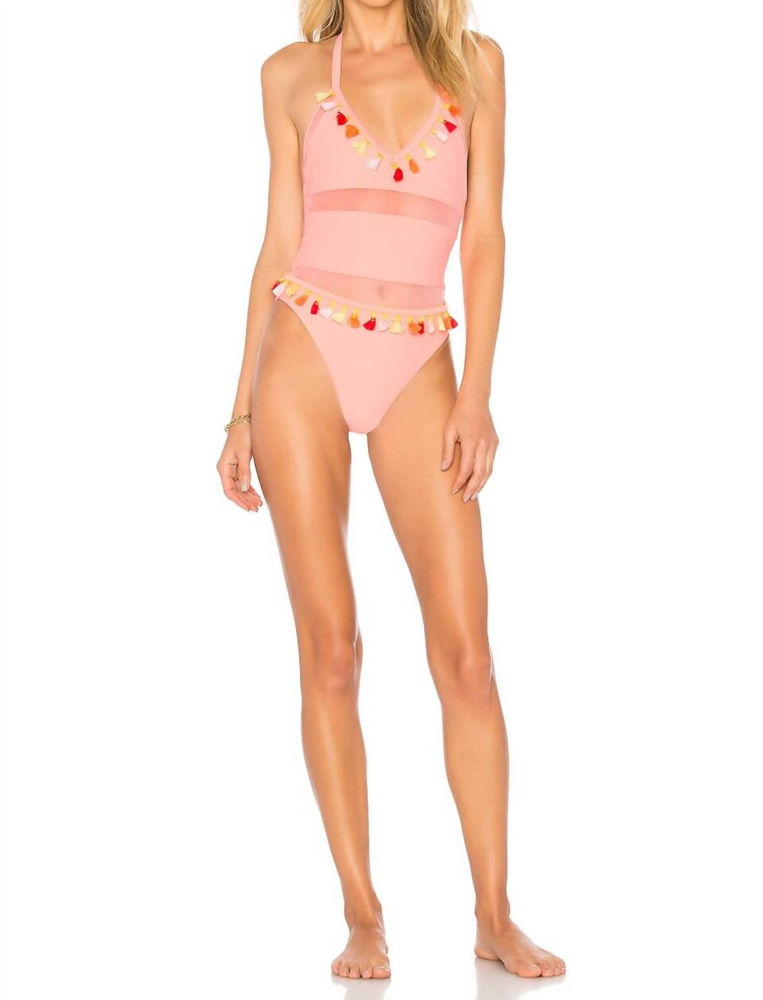 Frida One Piece Swimsuit In Terracotta