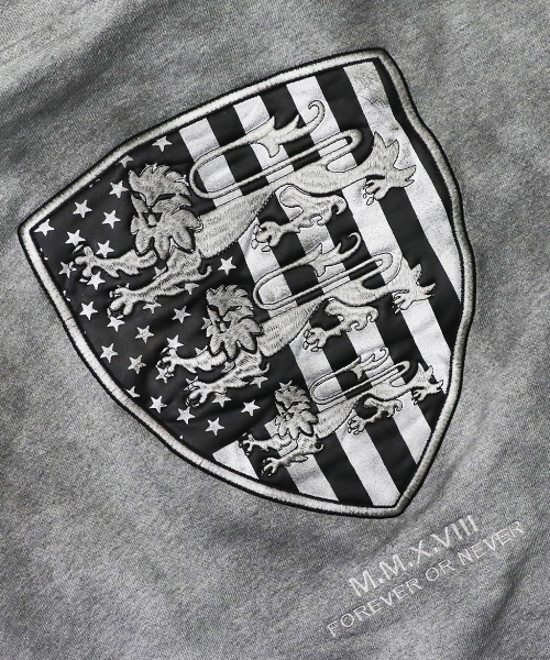 Shield Old Glory Hoodie
