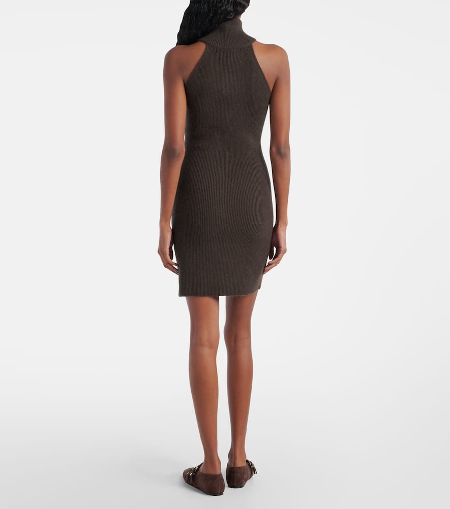 Lisa cashmere turtleneck minidress