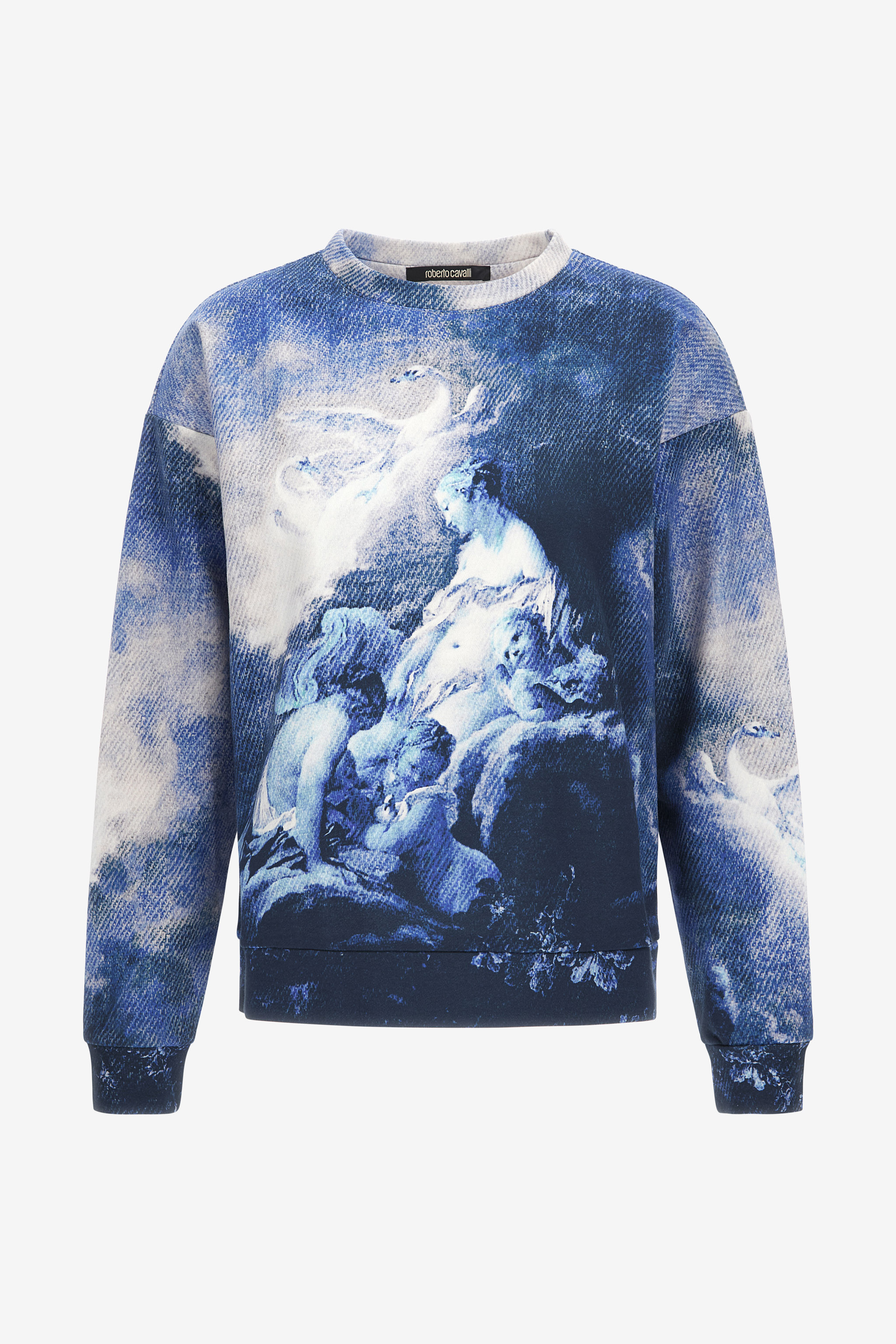 Sweatshirt With Denim Wild Leda Print