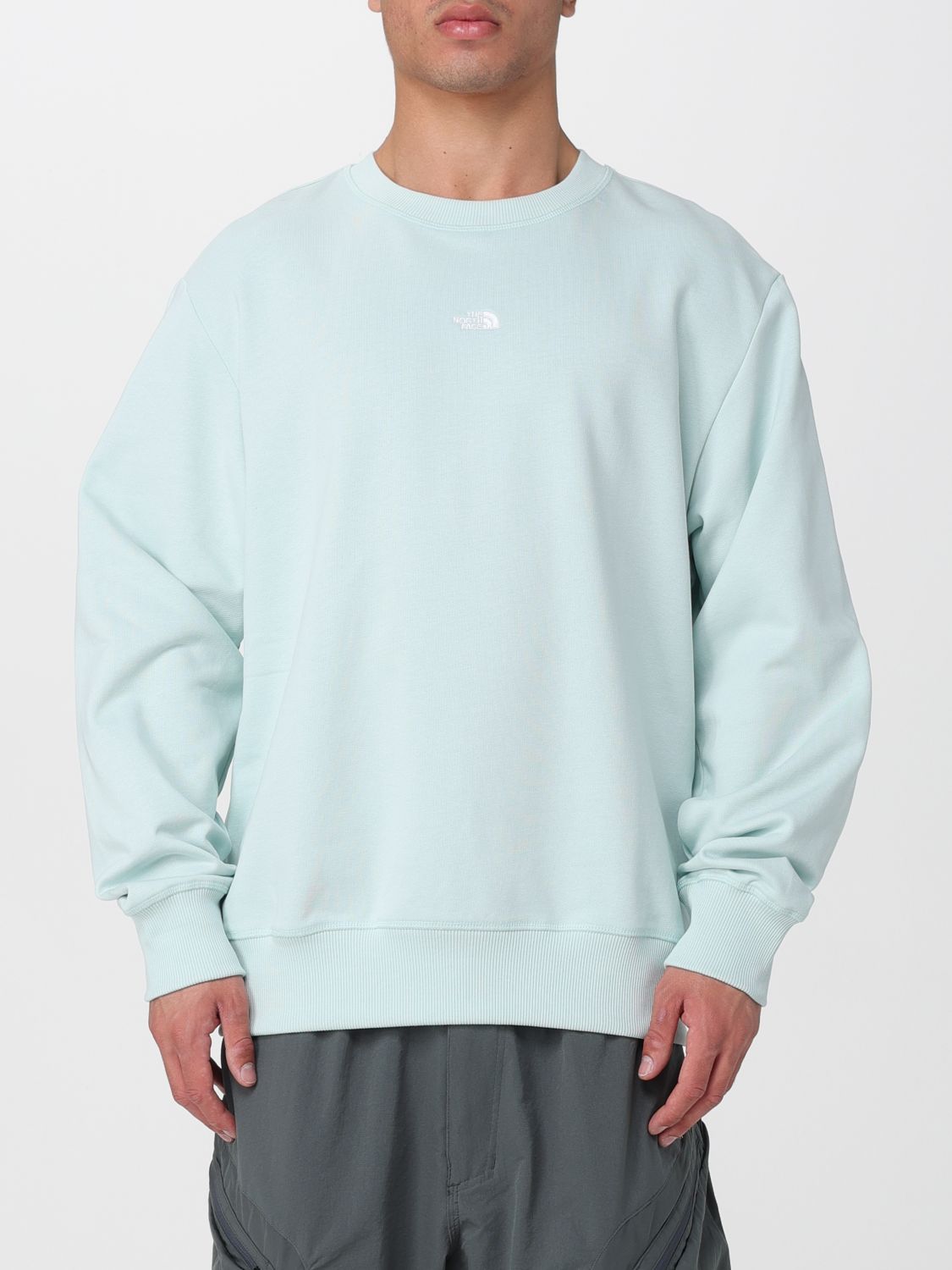 Sweatshirt Men color Grey