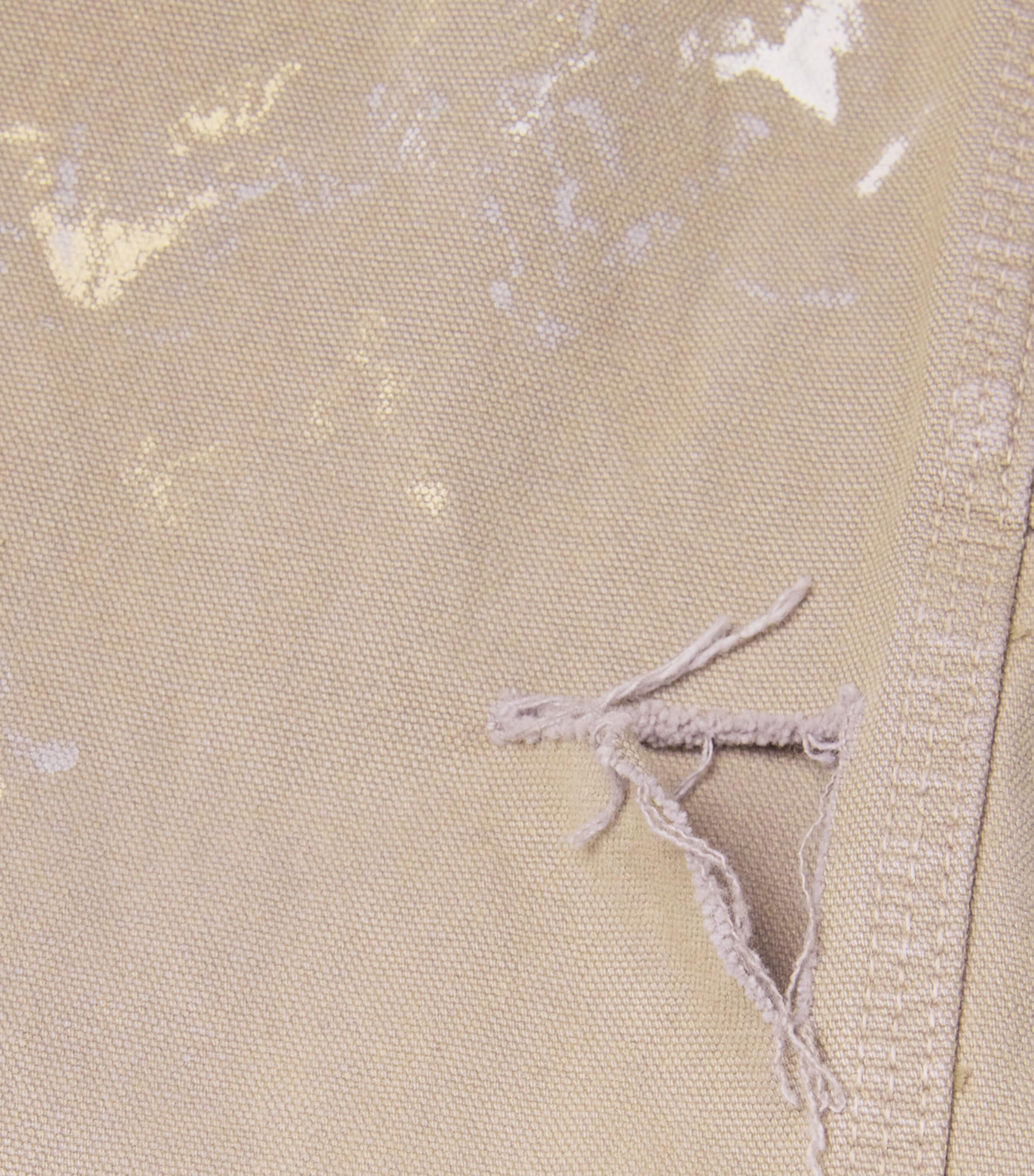 Paint Carpenter Trousers