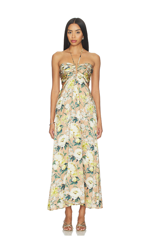 CAMI NYC Calliope Maxi Dress in Tan,White. XS. Also in