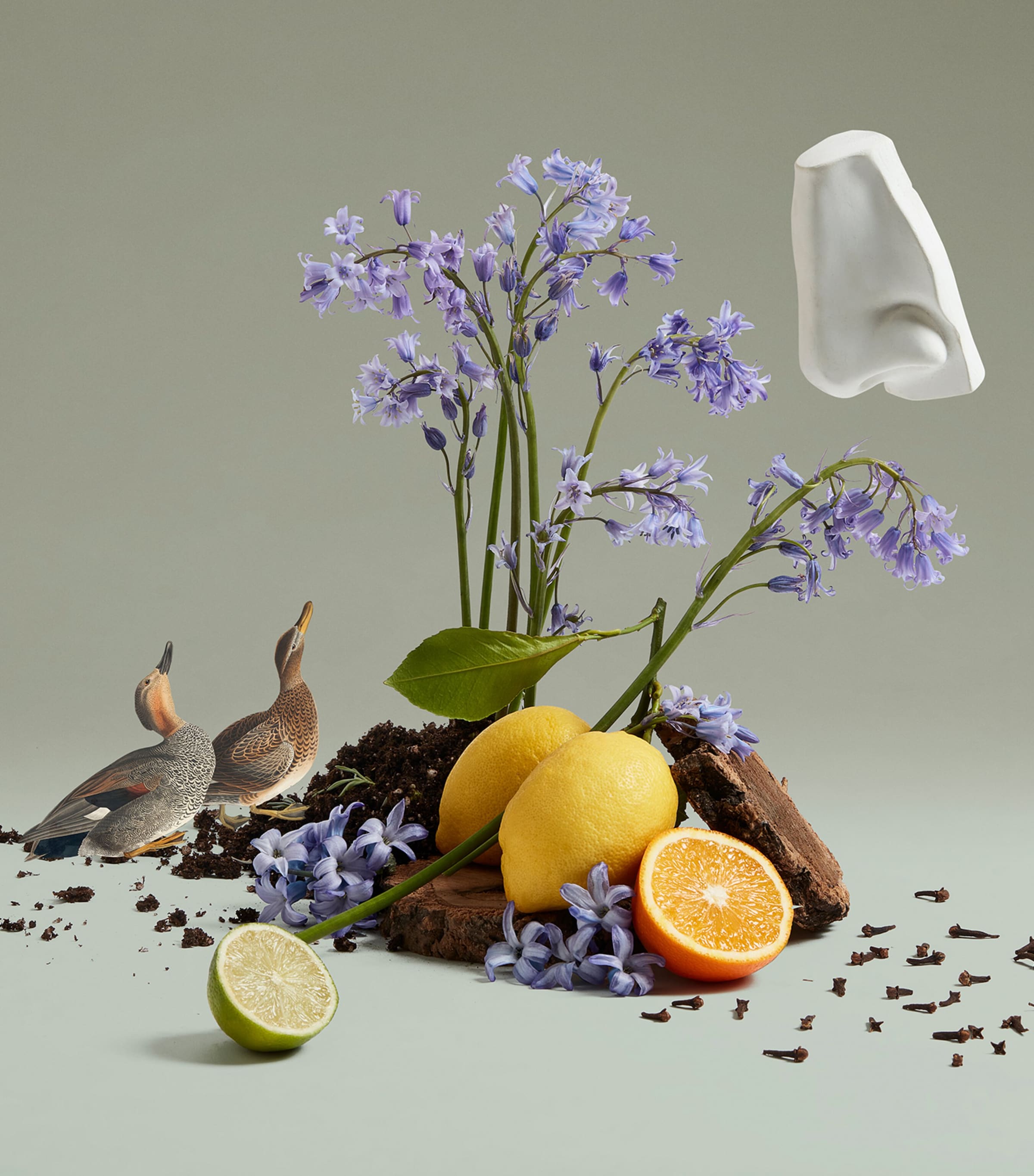 Bluebell Eau de Toilette