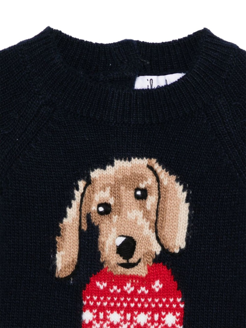 Baby Girl Navy Blue Graphic Sweater