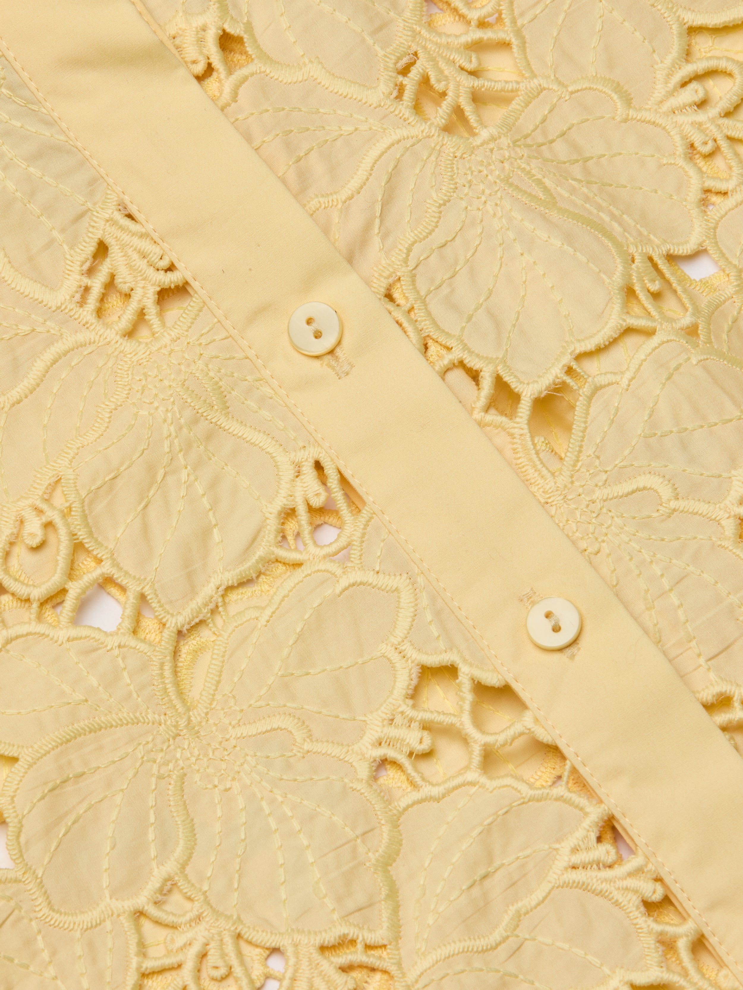 Seychelle Cropped Eyelet Blouse Top In Lemon Sorbet