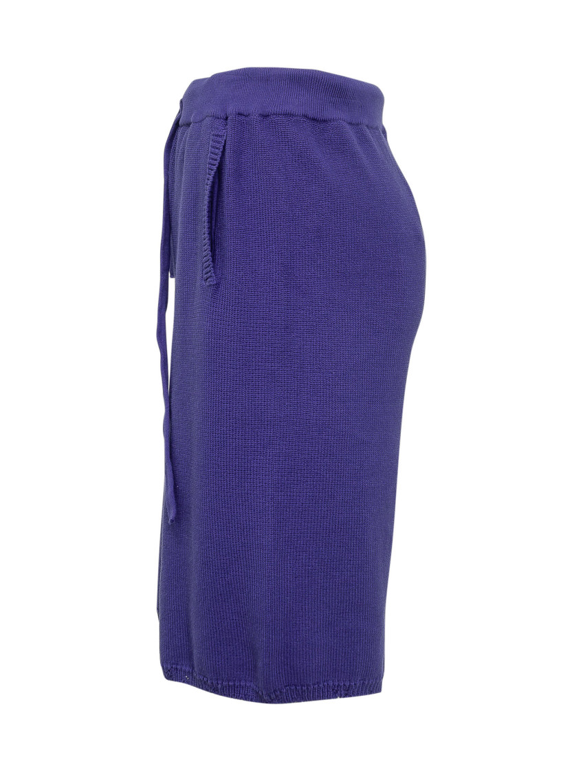 Purple Solid Shorts