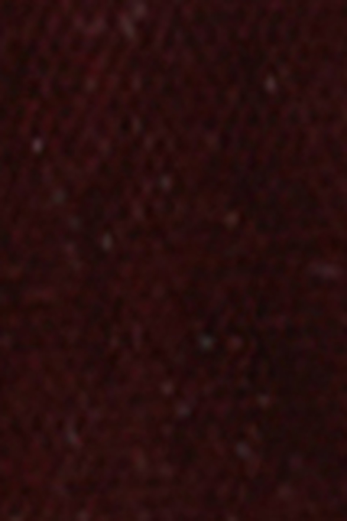 Velvet nano Moon bag