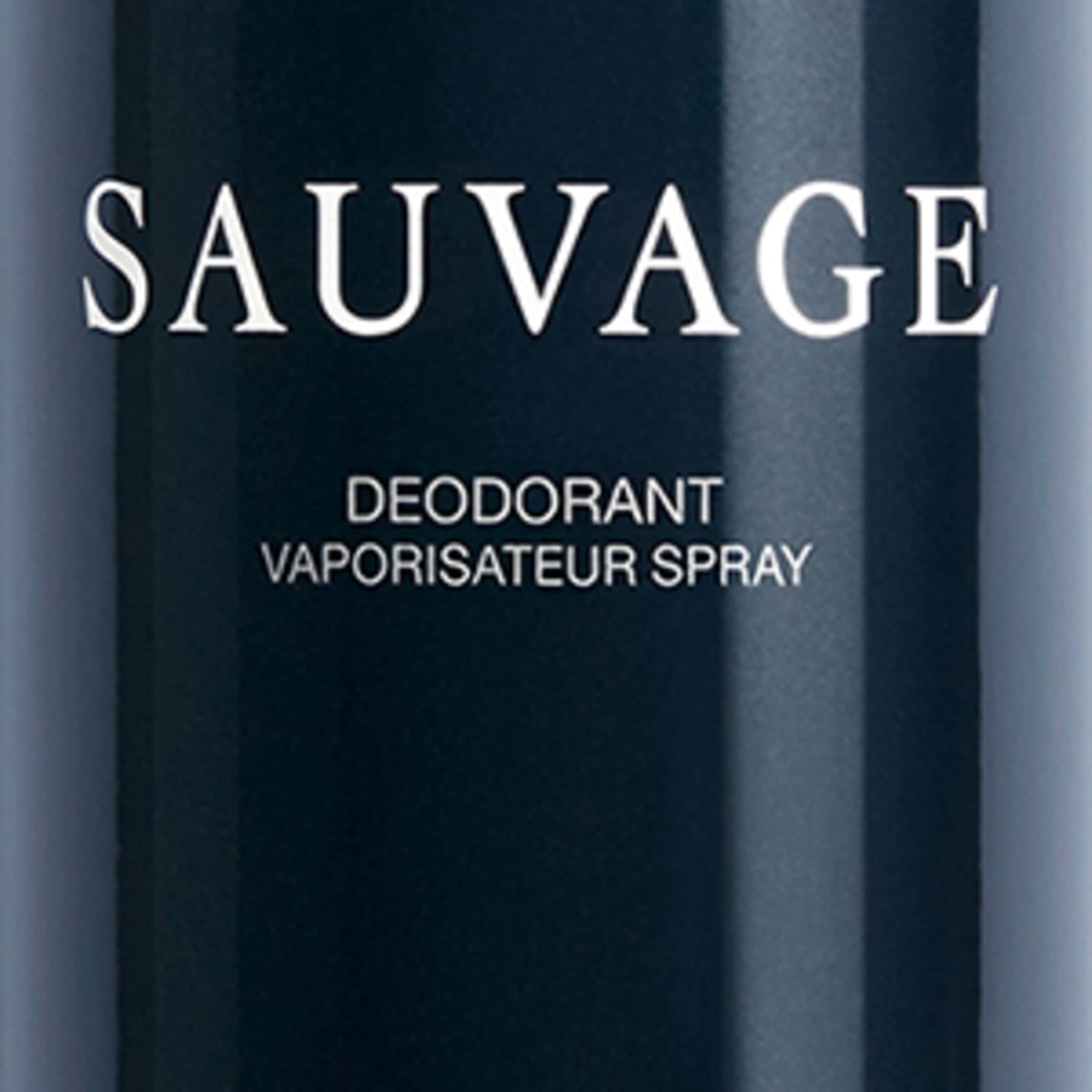 Sauvage Deodorant Spray