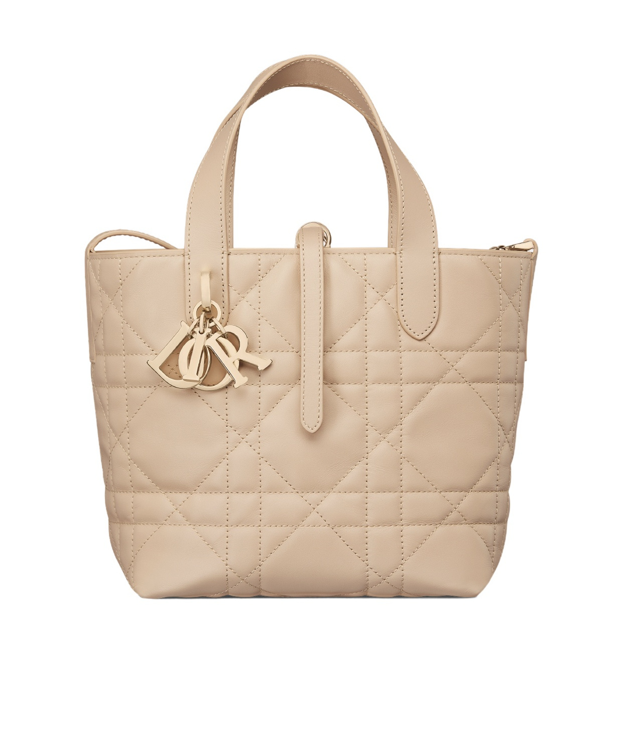 Small Dior Toujours Vertical Tote Bag