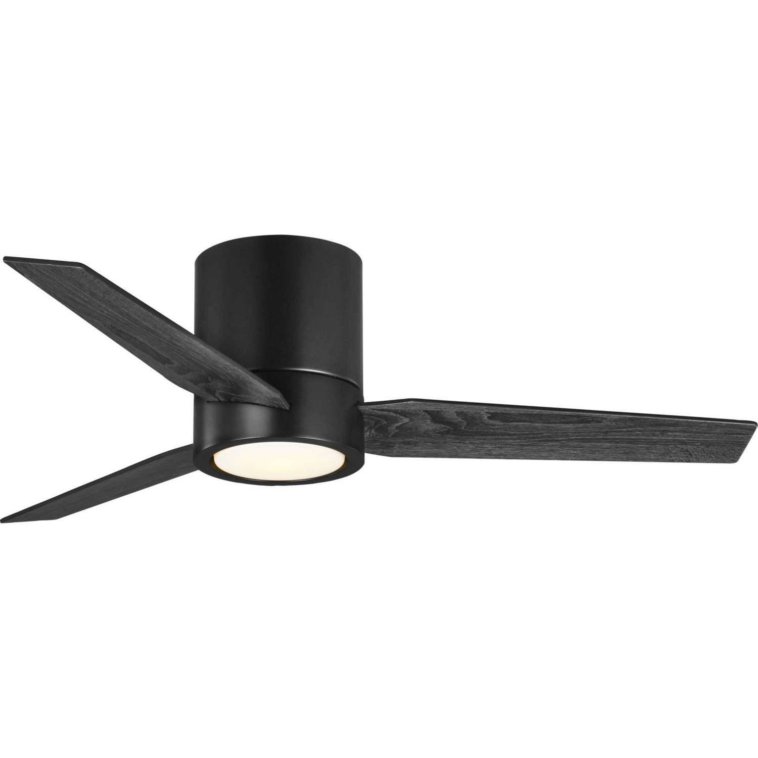 Matte Black 44"Ceiling Fan from the Braden Collection