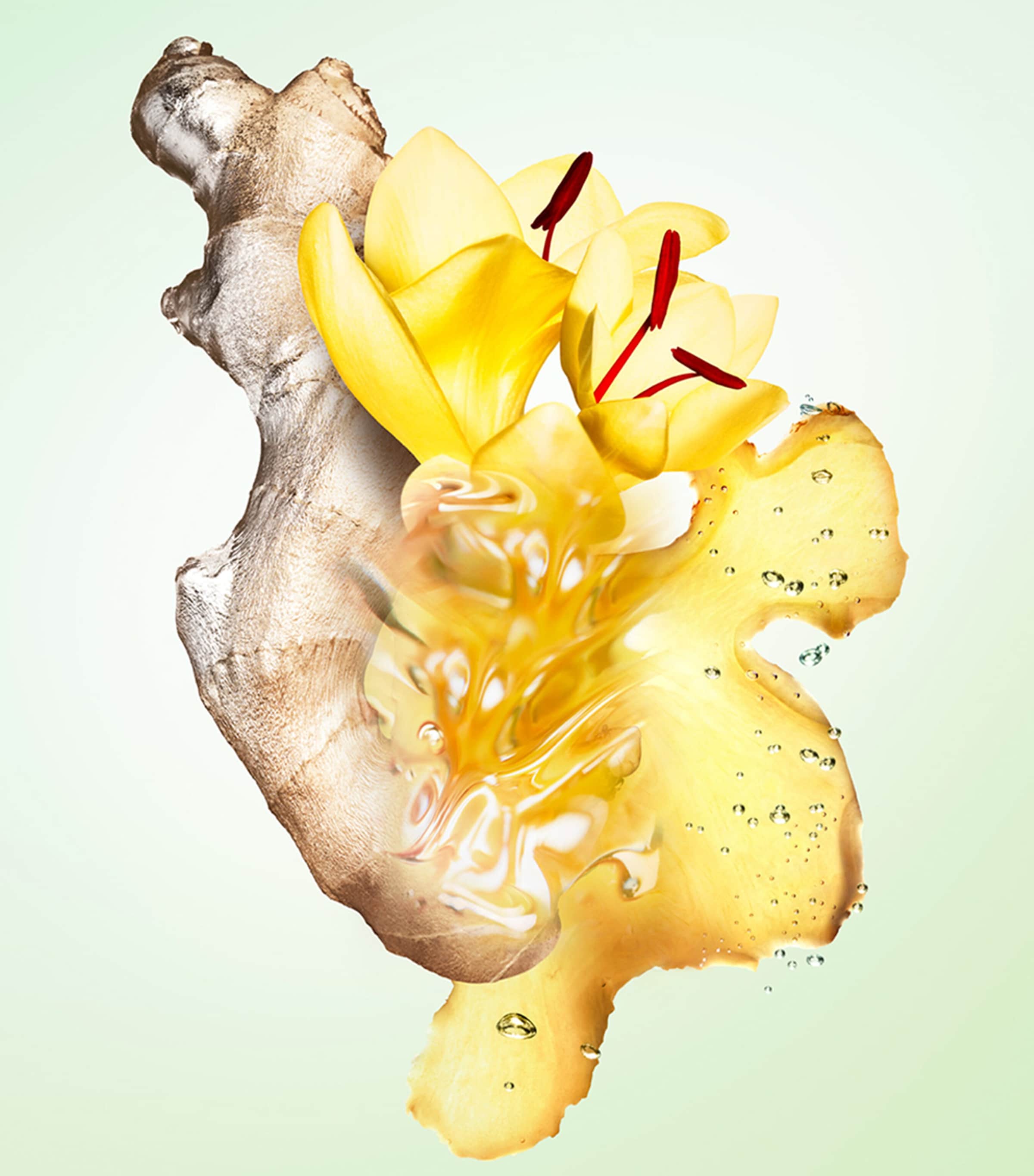 Infusions de Gingembre Eau de Parfum