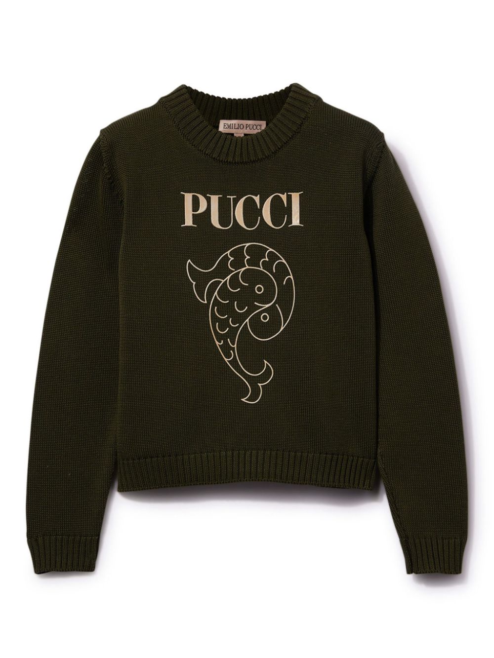 Pesci-print jumper - Green